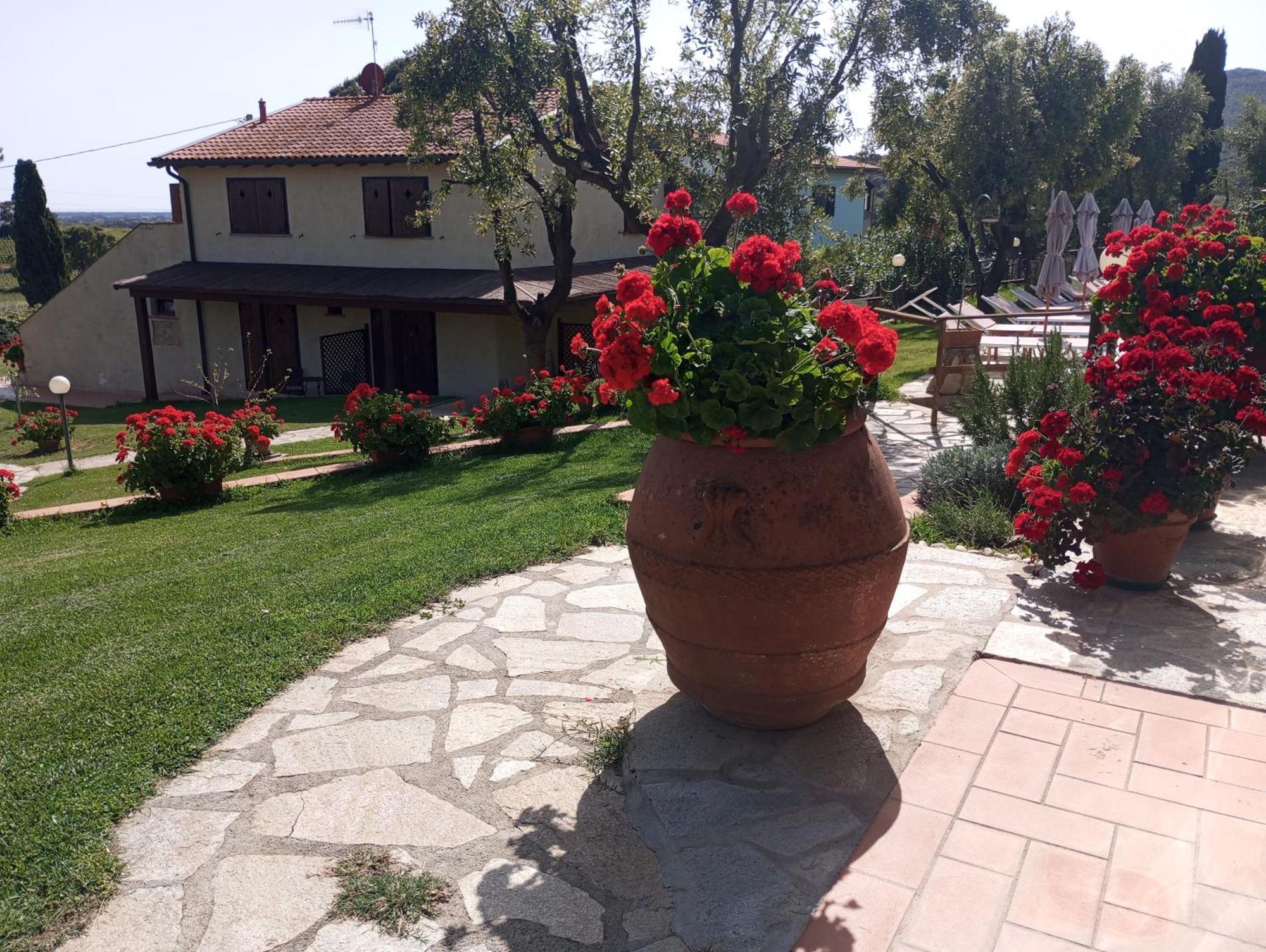 Agriturismo La Luciana Castiglione della Pescaia Kültér fotó