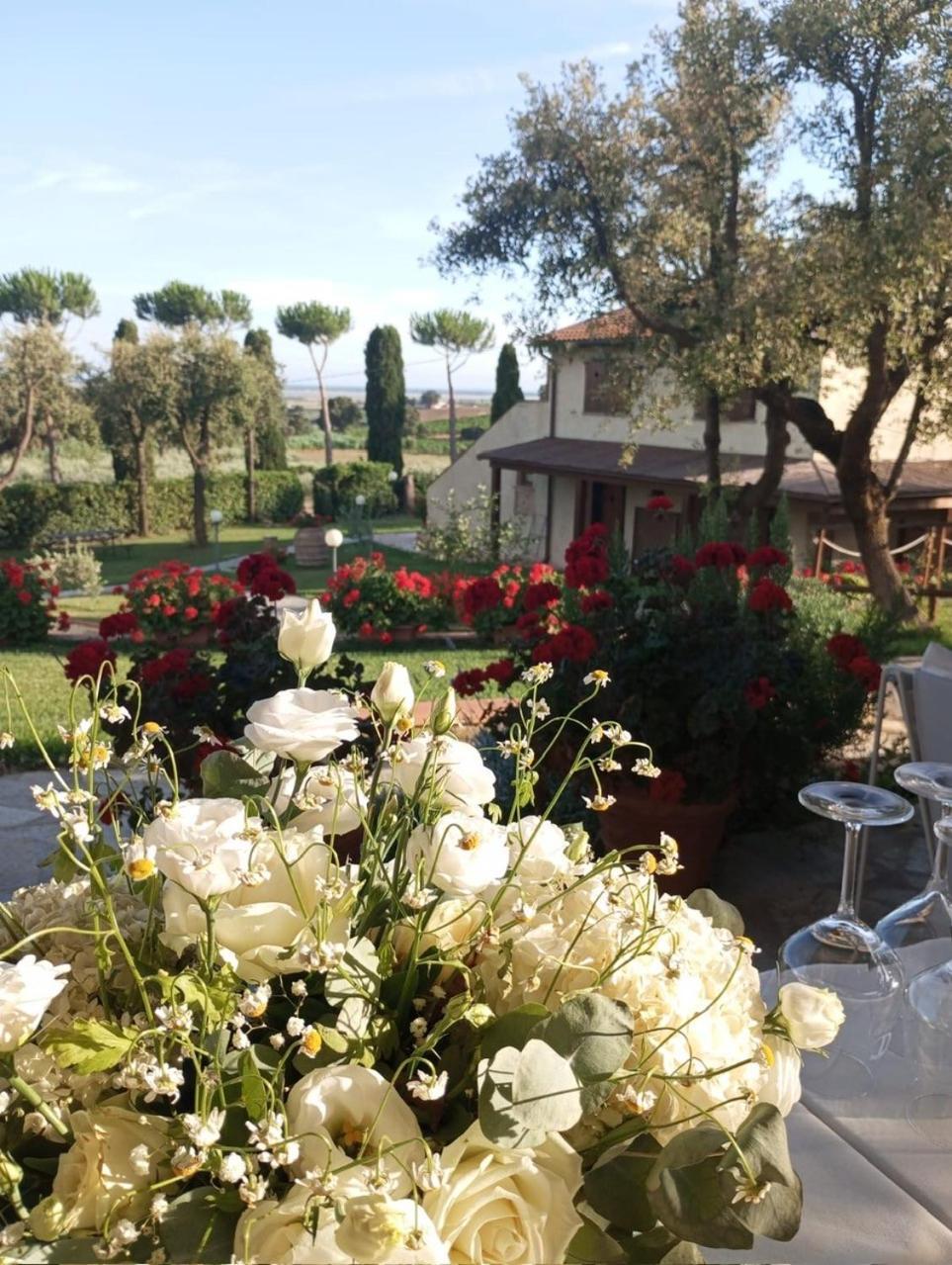 Agriturismo La Luciana Castiglione della Pescaia Kültér fotó